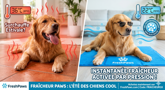 Fresh Paws™ — Tapis Rafraîchissant pour Chien & Chat