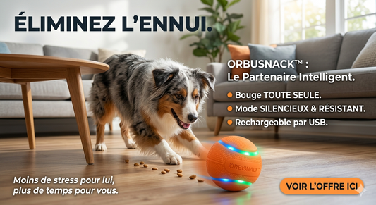 OrbiSnack™ G-Series — Balle Intelligente pour Chiens & Chats